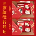 本命年袜子女2025蛇年新年袜礼盒装红袜中筒袜卡通过年